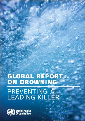 Global Report EN 291